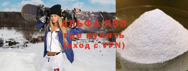 индика Волоколамск