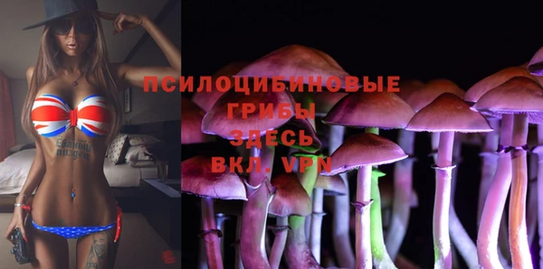 молекула духа Снежногорск