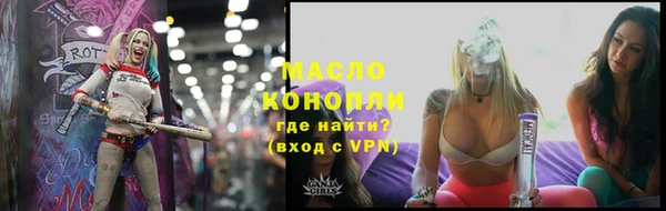индика Волоколамск