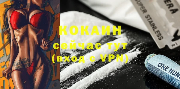 дмт Снежинск