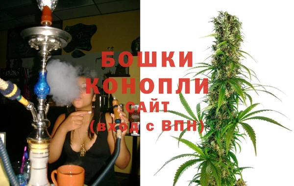 индика Волоколамск