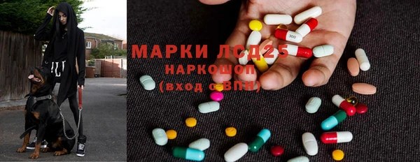 индика Волоколамск