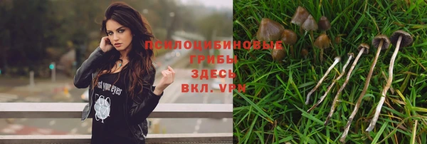 дмт Снежинск
