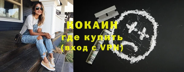 молекула духа Снежногорск
