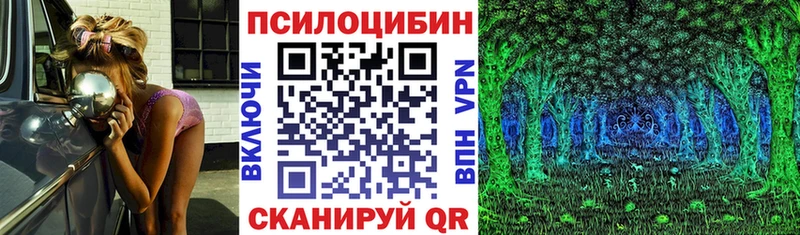 где купить Мариинск Галлюциногенные грибы Psilocybe